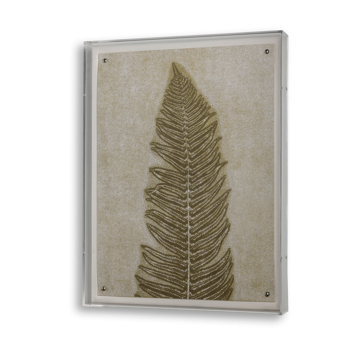Fern IV