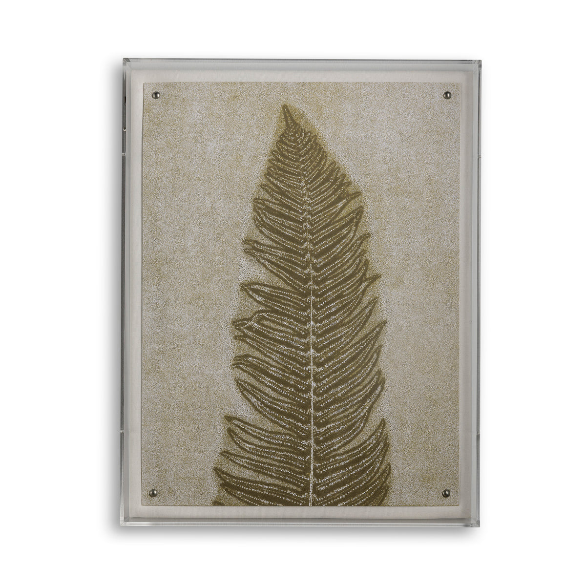 Fern IV