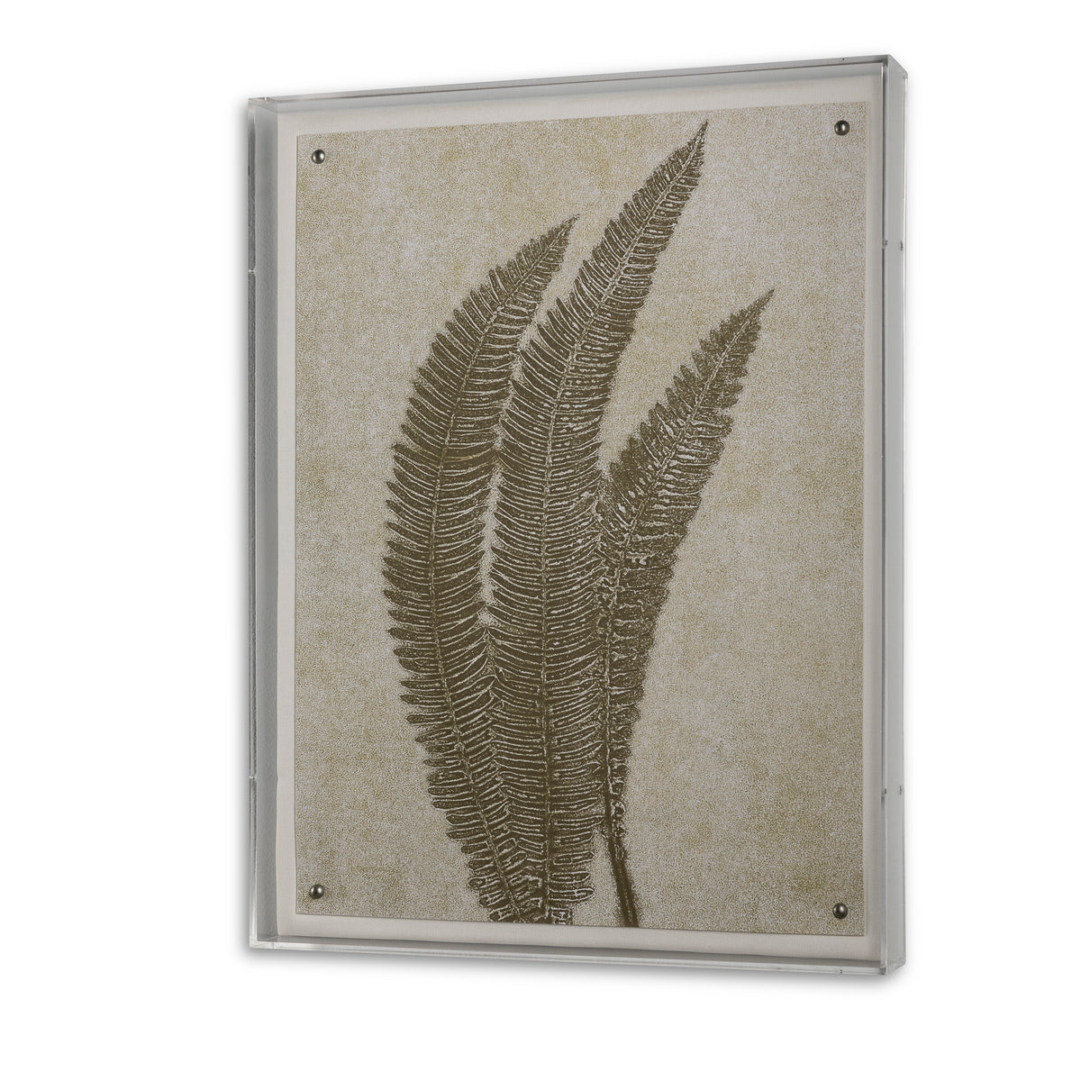 Fern VI