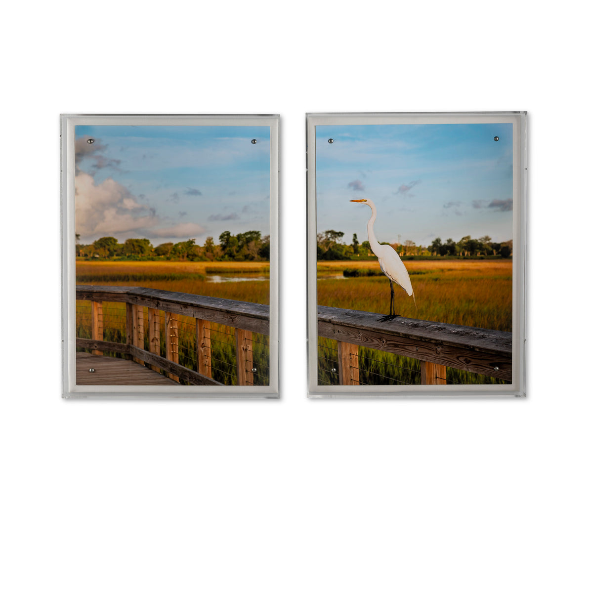 Lowcountry Egret I