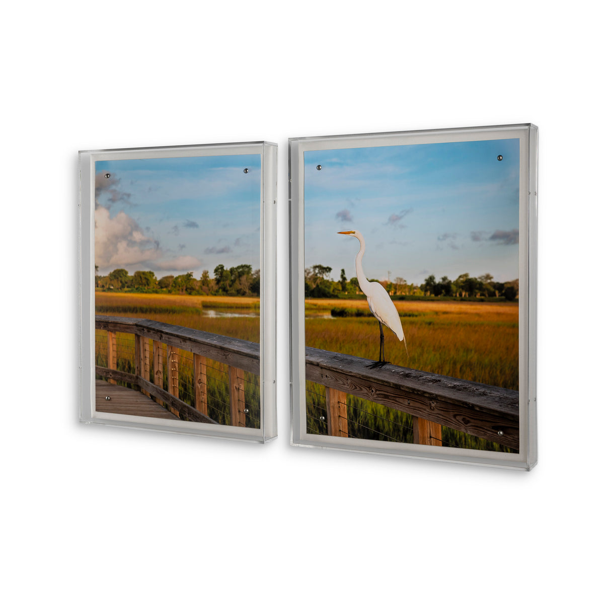 Lowcountry Egret II