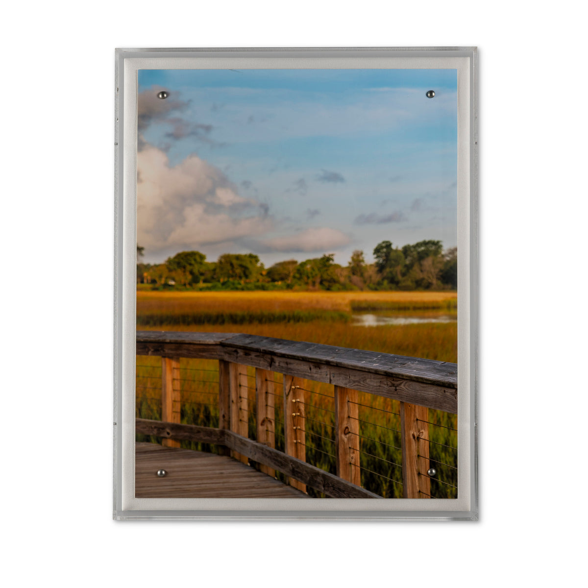 Lowcountry Egret I