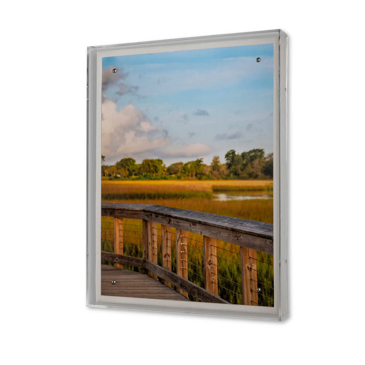 Lowcountry Egret I
