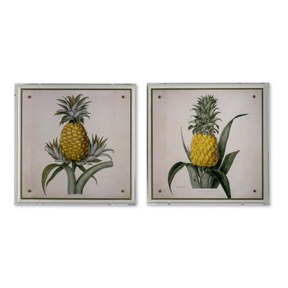 Jamaica Pineapple