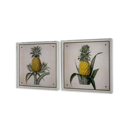 Jamaica Pineapple