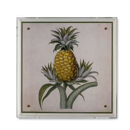 Jamaica Pineapple