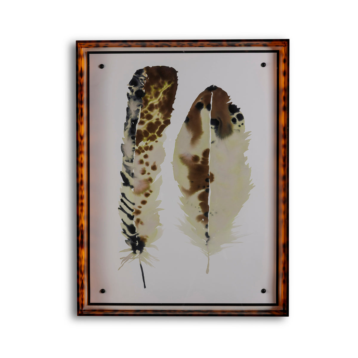 Feathers I