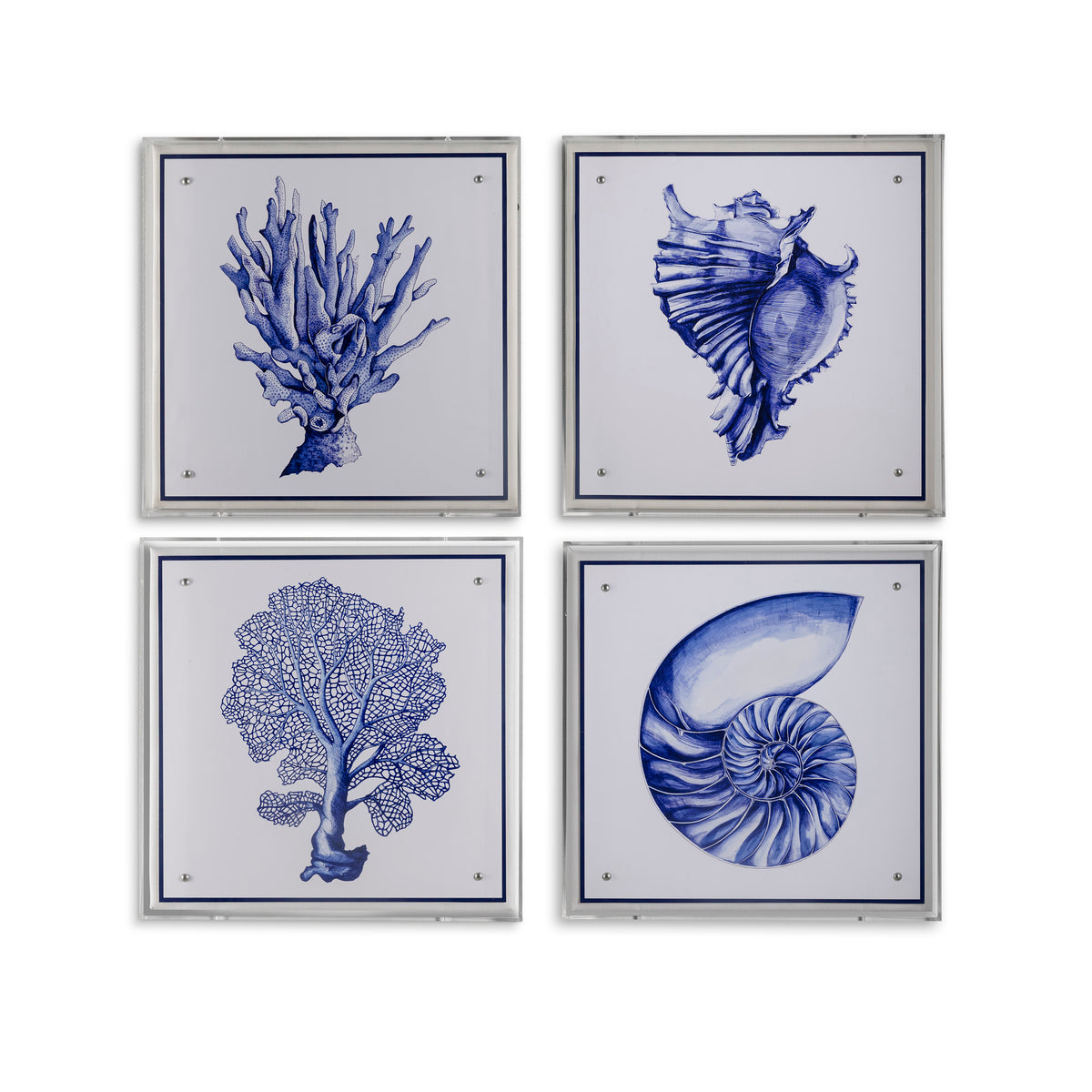 Sea Coral
