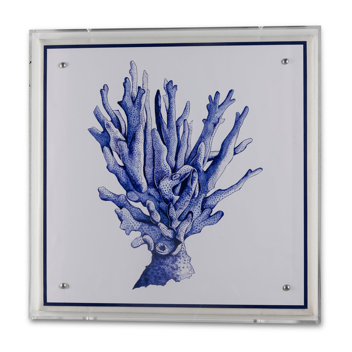 Sea Coral