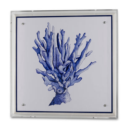 Sea Coral