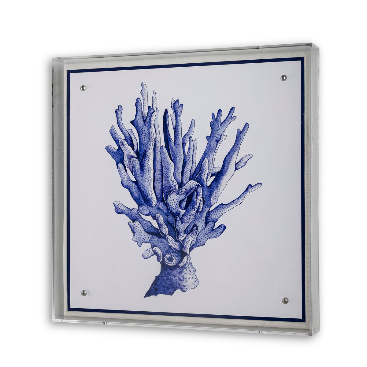 Sea Coral