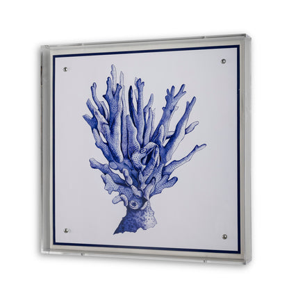 Sea Coral