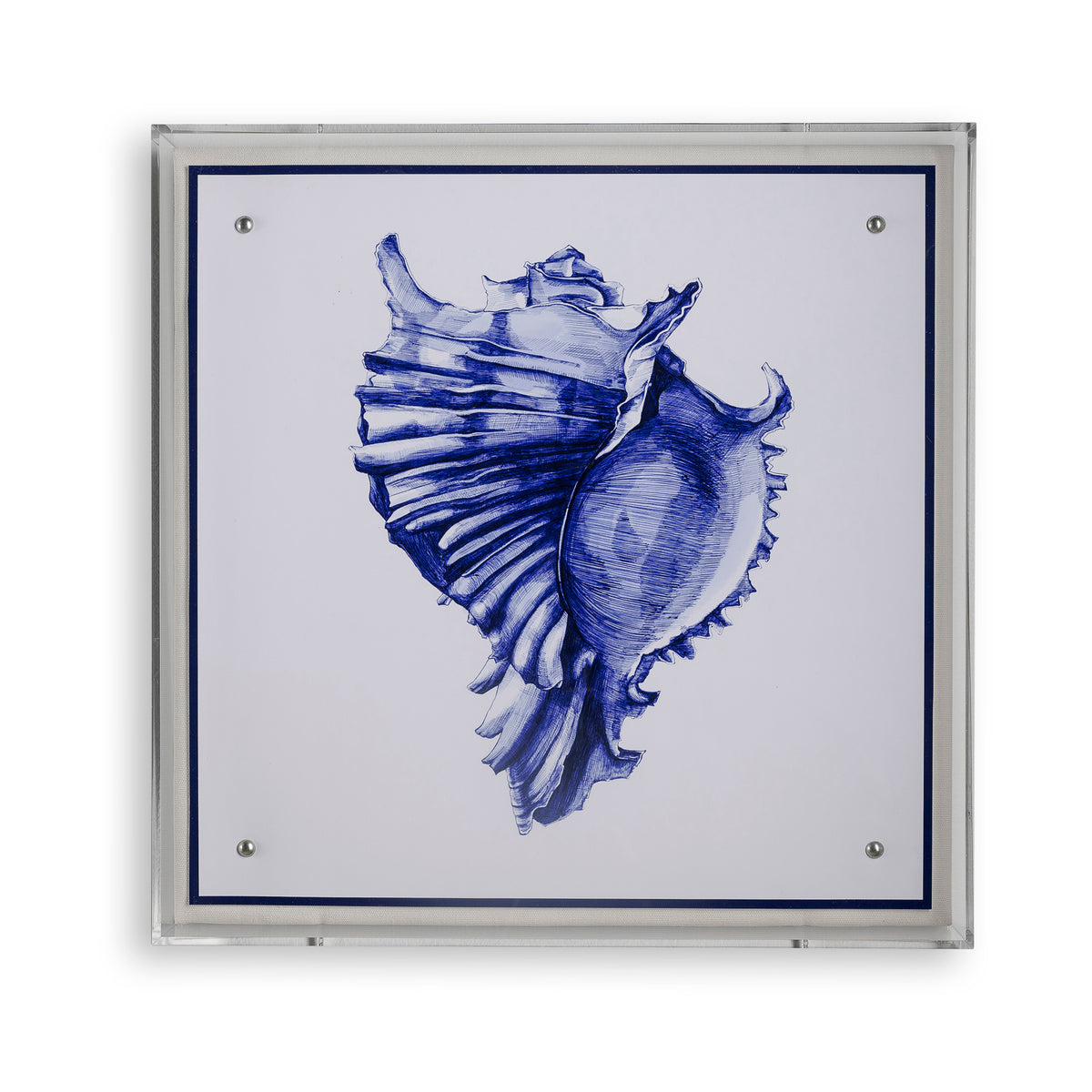 Sea Conch Shell