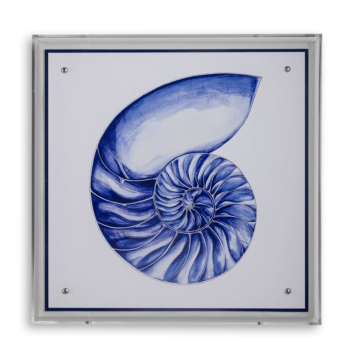 Sea Nautilus Shell