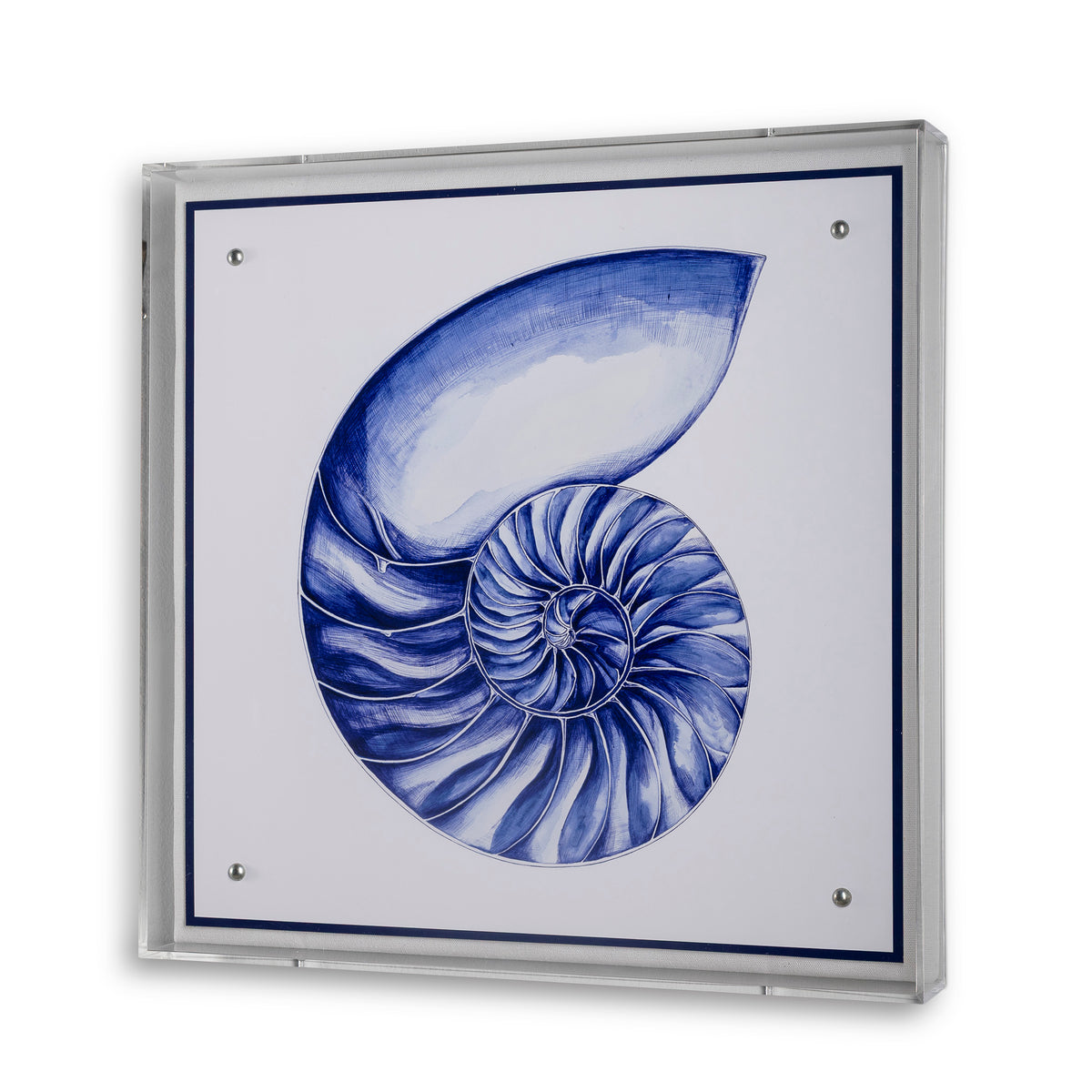 Sea Nautilus Shell