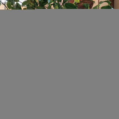 Onyx Lucite Square Stand 7" x 2" (set of 2)